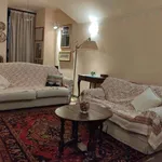 Rent 1 bedroom apartment of 70 m² in florence