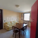 Rent 3 bedroom apartment of 63 m² in Diano d'Alba