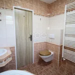 Rent 2 bedroom apartment of 60 m² in Kraslice