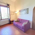 Rent 5 bedroom apartment of 150 m² in Florence