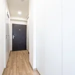 Rent 1 bedroom apartment in Capital City of Prague