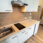 Rent 1 bedroom apartment of 22 m² in Łódź