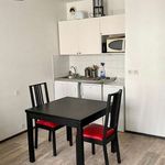 Rent 1 bedroom apartment of 23 m² in Tours