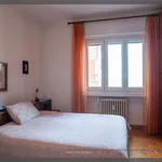 Rent 3 bedroom apartment of 118 m² in Trieste