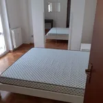 Rent 2 bedroom apartment of 60 m² in milano