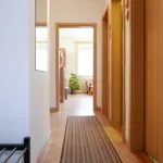 Rent 1 bedroom apartment of 45 m² in Brno