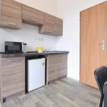 Rent 3 bedroom apartment of 44 m² in Brno