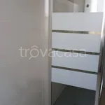 Rent 1 bedroom apartment of 100 m² in Colorno