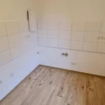 Rent 3 bedroom apartment of 67 m² in Siegen