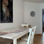 Rent 1 bedroom apartment in brussels