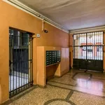 Rent 1 bedroom apartment in Bologna