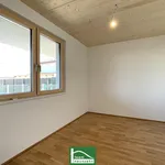 Rent 3 bedroom apartment of 7126 m² in Wien