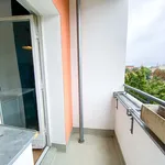 Rent 1 bedroom apartment of 35 m² in Berlin