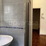 Rent 1 bedroom apartment of 45 m² in Roma