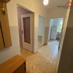 Rent 2 bedroom apartment of 36 m² in Toruń