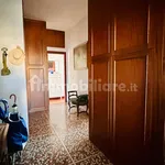 Rent 2 bedroom apartment of 75 m² in Rome