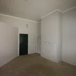 Rent 4 bedroom house in Palmerston North