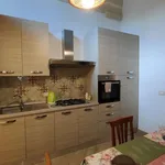 Rent 2 bedroom apartment of 55 m² in Lecce