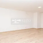 Pronajměte si 1 ložnic/e byt o rozloze 39 m² v Prague