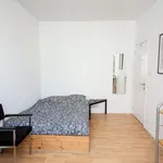 Rent a room in Brussels