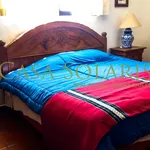 Rent 1 bedroom apartment in Guanajuato