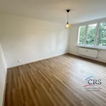 Pronájem bytu 3+1 68m²