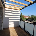 Rent 1 bedroom apartment of 45 m² in colomiers