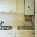 Rent 4 bedroom apartment of 50 m² in Firenze