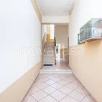 Rent 2 bedroom apartment of 45 m² in Saluzzo