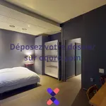 Rent 1 bedroom apartment in Saint-Étienne