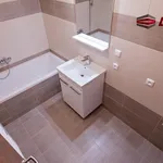 Rent 2 bedroom apartment in Opava