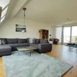 Rent 1 bedroom apartment of 96 m² in berlin