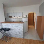 Rent 1 bedroom apartment of 33 m² in Ústí nad Labem