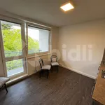 Rent 1 bedroom apartment of 29 m² in Zlín