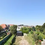 Rent 1 bedroom apartment in Zottegem