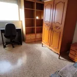 Alquilar 4 dormitorio apartamento en Valencia