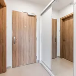 Pronajměte si 1 ložnic/e byt o rozloze 40 m² v Prague