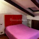 Rent 3 bedroom apartment of 100 m² in Turin