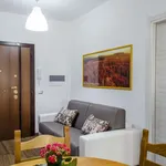 Rent 2 bedroom apartment of 85 m² in rome