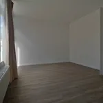 Rent 2 bedroom apartment in BERCHEM