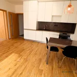 Rent 2 bedroom apartment of 79 m² in Brno