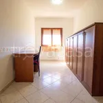 Rent 4 bedroom apartment of 100 m² in Sabaudia