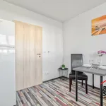 Rent 1 bedroom apartment in Ostrava