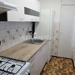 Pronajměte si 3 ložnic/e byt o rozloze 64 m² v Capital City of Prague