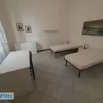 Rent 2 bedroom apartment of 60 m² in Bologna