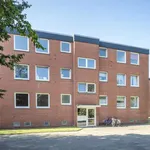 Rent 3 bedroom apartment of 69 m² in Aurich