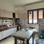 Rent 4 bedroom apartment of 130 m² in Massa