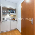 Rent 1 bedroom apartment of 33 m² in Turin