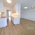 Rent 3 bedroom apartment of 79 m² in Písek