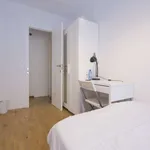 Rent a room in madrid